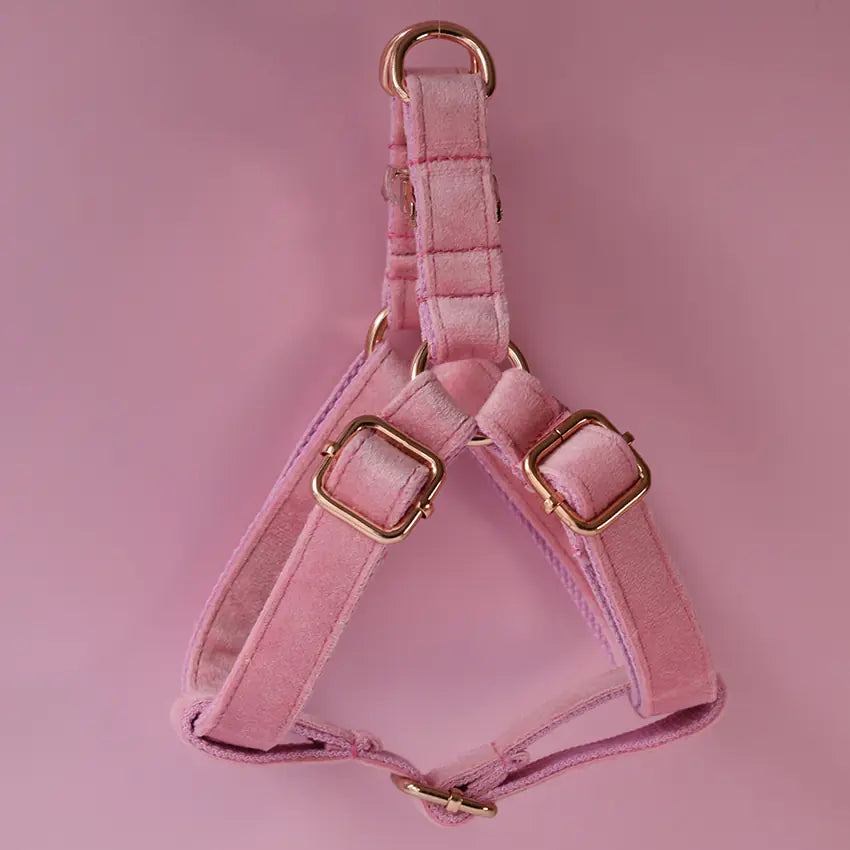 Lux Dog Harness kit