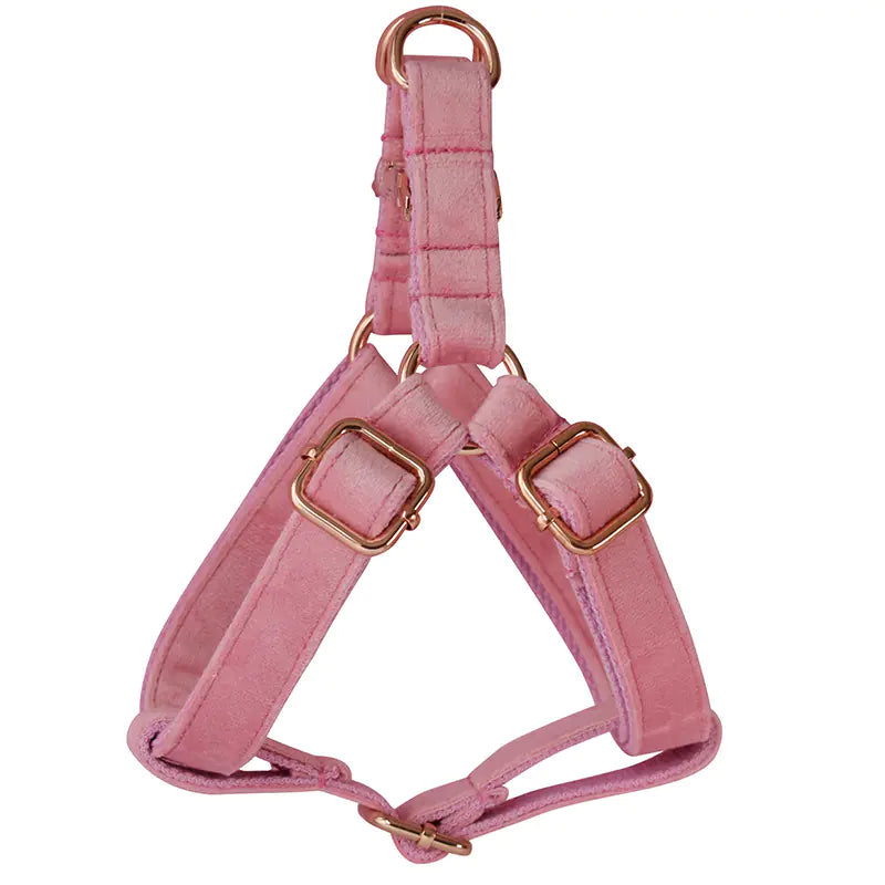 Lux Dog Harness kit